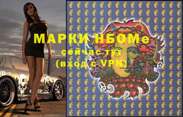шишки Абаза