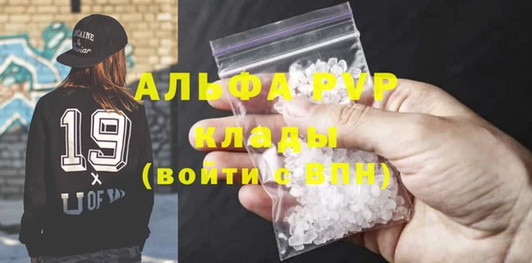 шишки Абаза