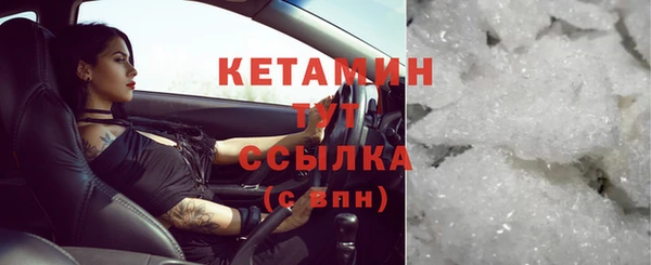 шишки Абаза