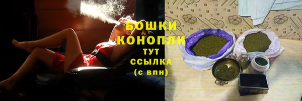 шишки Абаза