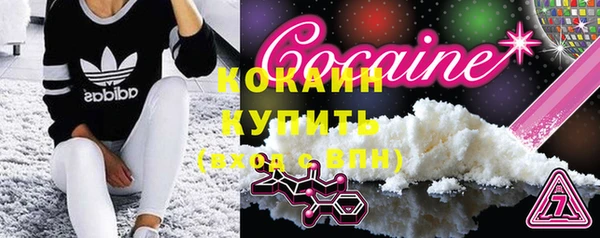 шишки Абаза