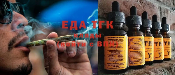 шишки Абаза