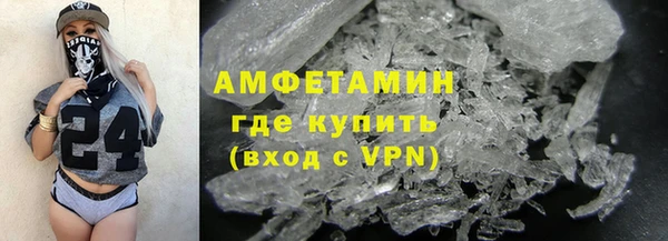 шишки Абаза