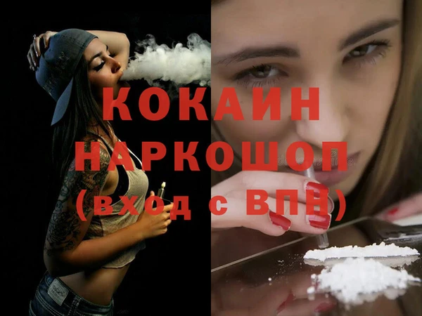 шишки Абаза