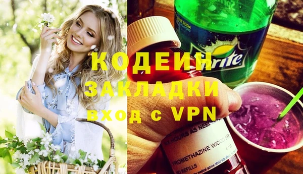 шишки Абаза
