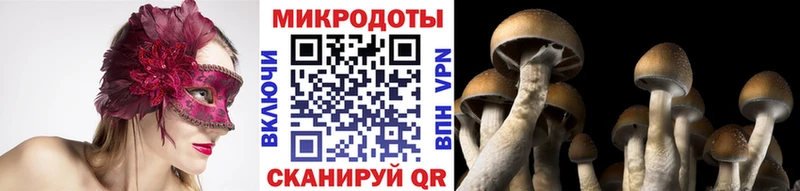 Псилоцибиновые грибы Psilocybine cubensis  Урень 